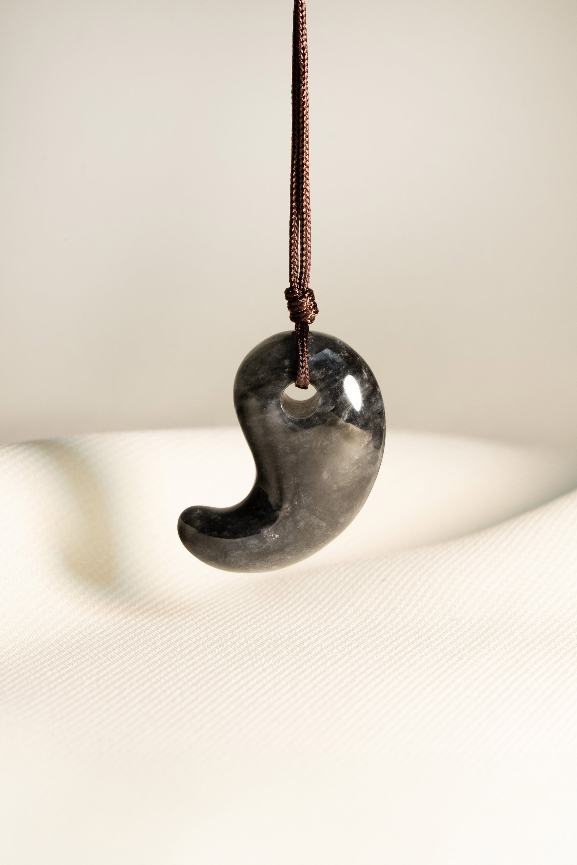 Black Comma with Grey spots